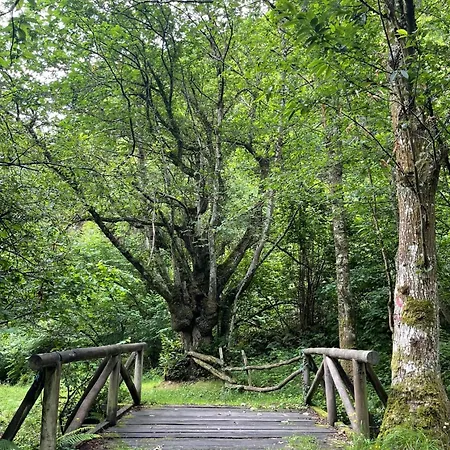 De Arrojo Барсана